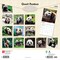 Giant Pandas | 2026 12 x 24 Inch (Hanging) Monthly Square Wall Calendar | Plastic-Free